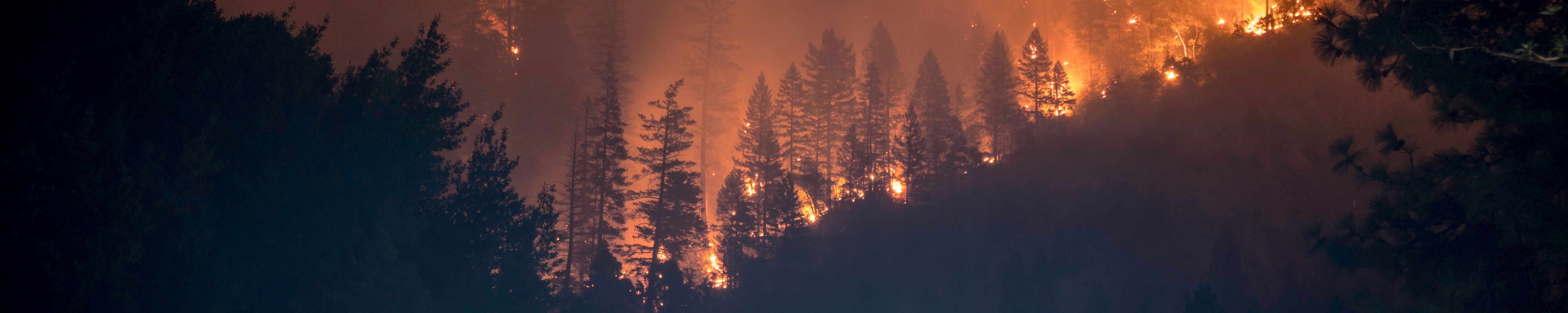 Wildfire burning on a ridgeline. Original source: https://unsplash.com/photos/eAKDzK4lo4o