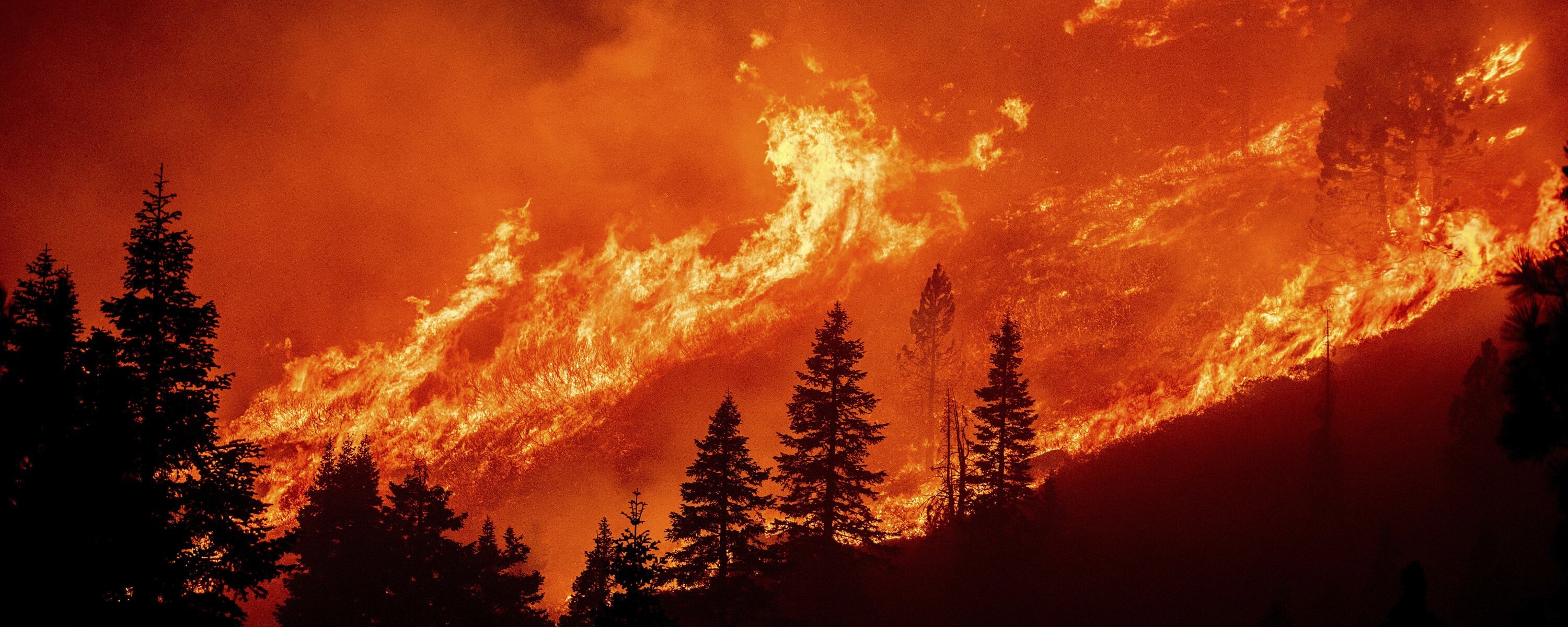 Burning Hillside. Original source: https://www.dailysabah.com/world/americas/california-wildfire-nears-lake-tahoe-hours-after-evacuation-order